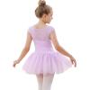 imageStelle Ballet Leotards for Girls Toddler Leotard with Tutu Skirt Dance Tutu Dress LittleBig Kid01purple