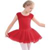 imageStelle Ballet Leotards for Girls Toddler Leotard with Tutu Skirt Dance Tutu Dress LittleBig Kid01red