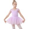 imageStelle Ballet Leotards for Girls Toddler Leotard with Tutu Skirt Dance Tutu Dress LittleBig Kid01purple