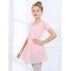imageStelle Girls Women Ballet Skirt Dance Wrap Skirt Chiffon Toddler Ballet Skirts05pink Shiny Skirt Pull on 
