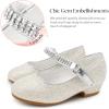 imageStelle Girls Dress Shoes Toddler White Flower Girl Low Heels Mary Jane Flat for School Uniform WeddingLittleBig KidA19light Silver