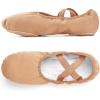 imageStelle Women Ballet Shoes Highly Stretch Canvas Adult Ballet Slippers Split Sole Yoga Dance Shoe for Girls BoysSand