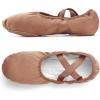 imageStelle Women Ballet Shoes Highly Stretch Canvas Adult Ballet Slippers Split Sole Yoga Dance Shoe for Girls BoysTan