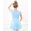 imageStelle Ballet Leotards for Girls Dance Leotard with Skirt Toddler Pink Ballet Outfit Ruffle Sleeve Kids Dance Dress1blueshiny Skirt