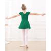 imageStelle Ballet Leotards for Girls Dance Leotard with Skirt Toddler Pink Ballet Outfit Ruffle Sleeve Kids Dance Dress1greenshiny Skirt