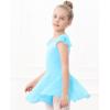 imageStelle Ballet Leotards for Girls Dance Leotard with Skirt Toddler Pink Ballet Outfit Ruffle Sleeve Kids Dance Dress1pool Blueshiny Skirt