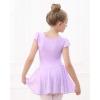 imageStelle Ballet Leotards for Girls Dance Leotard with Skirt Toddler Pink Ballet Outfit Ruffle Sleeve Kids Dance Dress1purpleshiny Skirt