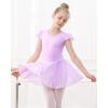 imageStelle Ballet Leotards for Girls Dance Leotard with Skirt Toddler Pink Ballet Outfit Ruffle Sleeve Kids Dance Dress1purpleshiny Skirt