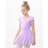 imageStelle Ballet Leotards for Girls Dance Leotard with Skirt Toddler Pink Ballet Outfit Ruffle Sleeve Kids Dance Dress1purpleshiny Skirt