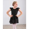 imageStelle Ballet Leotards for Girls Dance Leotard with Skirt Toddler Pink Ballet Outfit Ruffle Sleeve Kids Dance Dress2black