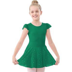 imageStelle Ballet Leotards for Girls Dance Leotard with Skirt Toddler Pink Ballet Outfit Ruffle Sleeve Kids Dance Dress1greenshiny Skirt