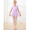 imageStelle Ballet Leotards for Girls Long Sleeve Dance Dress Outfit Combo with Skirt and Tights ToddlerLittle KidBig Kid1purple