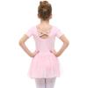 imageStelle ToddlerGirls Short Sleeve Tutu Dress Ballet Leotard for Dance BP M56Y