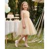 image:imageStelle Girls Dress Shoes White Flower Girl Shoe Mary Jane Low Heels for Wedding ToddlerLittleBig KidGoldshiny Strap