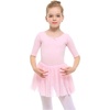 image:imageStelle Puff Sleeve Ballet Leotards for Girls with Sparkly Tutu Skirted Toddler Dance Dress Outfit03short Sleeveballet Pink