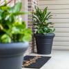 imageStep2 Claremont Tall Round Planter Large Planters for Outdoor Plants Gardening and Flower Pot for Patio or Porch Efficient Drainage Durable Plastic Terracotta 2PackOnyx Black