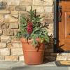 imageStep2 Claremont Tall Round Planter Large Planters for Outdoor Plants Gardening and Flower Pot for Patio or Porch Efficient Drainage Durable Plastic Terracotta 2PackTerracotta