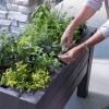 imageStep2 Lakewood Raised Planter Box Large Planters for Outdoor Plants Gardening and Flower Pot for Patio or Porch Easy Drainage Durable Plastic Sage GrayDark Cedar