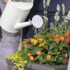 imageStep2 Lakewood Square Planter Large Planters for Outdoor Plants Gardening and Flower Pot for Patio or Porch Efficient Drainage Durable Plastic Sage Gray 2PackDark Cedar