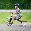 imageSEREED Colorful Lighting Toddler Tricycle for 25 Years Old Boys Girls Adjustable SeatampampHandlebar Trike Removable Basket Birthday Gift Idea for Kids Ages 2 GreenBlack