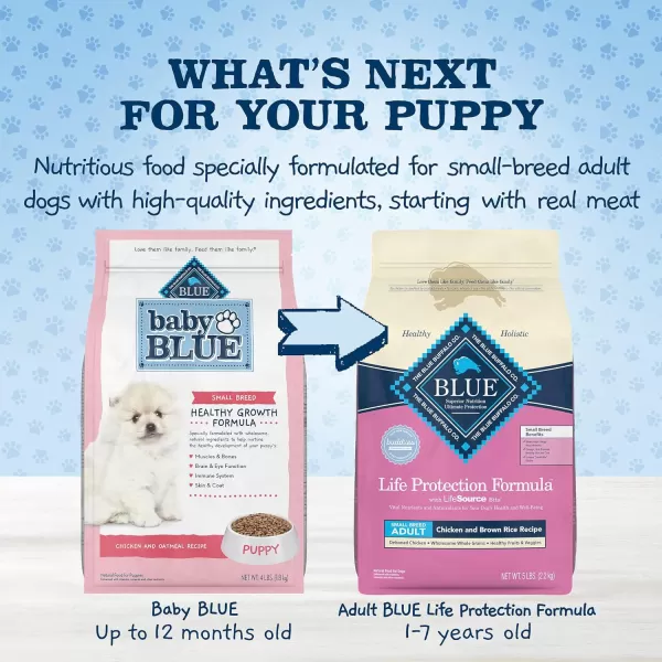 imageBlue Buffalo Baby BLUE Healthy Growth Formula Natural Small Breed Puppy Dry Dog Food Chicken and Oatmeal Rice Recipe 4lbBlue Buffalo Baby BLUE Healthy Growth Formula Natural Small Breed Puppy Dry Dog Food Chicken and Oatmeal Rice Recipe 4lb