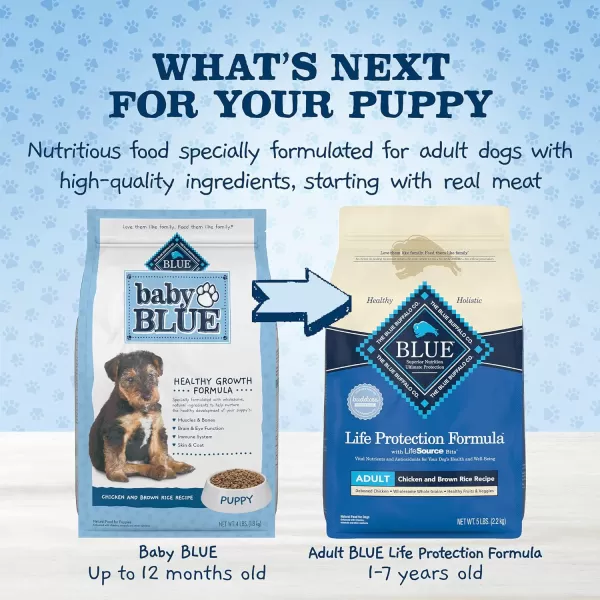 imageBlue Buffalo Baby Blue Healthy Growth Formula Natural Puppy Dry Dog Food Chicken and Brown Rice Recipe 4lb11 Pound Pack of 1