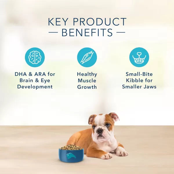 imageBlue Buffalo Basics Skin amp Stomach Care Natural Puppy Dry Dog Food Turkey amp Potato 24lbTurkey amp Potato 4 Pound Pack of 1