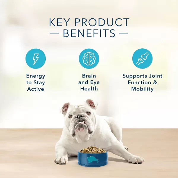 imageBlue Buffalo Basics Skin amp Stomach Care Natural Senior Dry Dog Food Turkey amp Potato 4lbDry Dog Food 4 Pound Pack of 1
