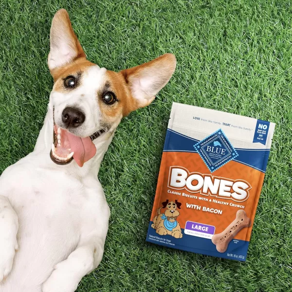 imageBlue Buffalo Bones Natural Crunchy Dog Treats Large Dog Biscuits Chicken 16oz bag 4 countBacon 16 Ounce Pack of 4 Large Biscuits