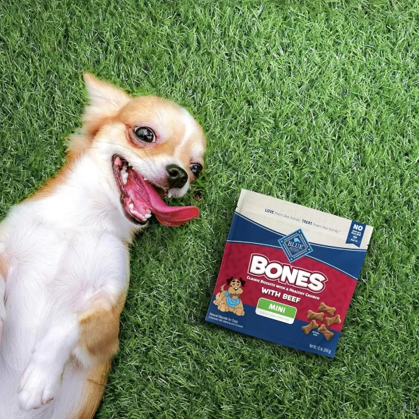imageBlue Buffalo Bones Natural Crunchy Dog Treats Large Dog Biscuits Chicken 16oz bag 4 countBeef 12 Ounce Pack of 4