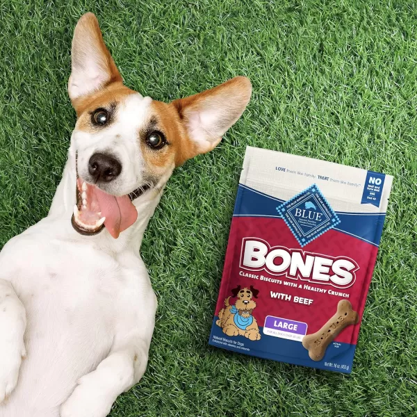 imageBlue Buffalo Bones Natural Crunchy Dog Treats Large Dog Biscuits Chicken 16oz bag 4 countBeef 16 Ounce Pack of 4