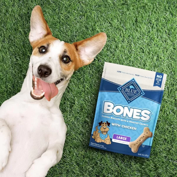 imageBlue Buffalo Bones Natural Crunchy Dog Treats Large Dog Biscuits Chicken 16oz bag 4 countChicken 16 Ounce Pack of 4