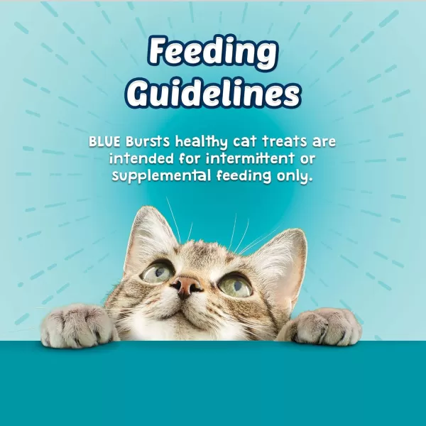 imageBlue Buffalo Bursts Crunchy Cat Treats Variety Pack Chicken Chicken Liver and Beef and Seafood 5oz Bags 3 countSeafood 12 Ounce Pack of 1