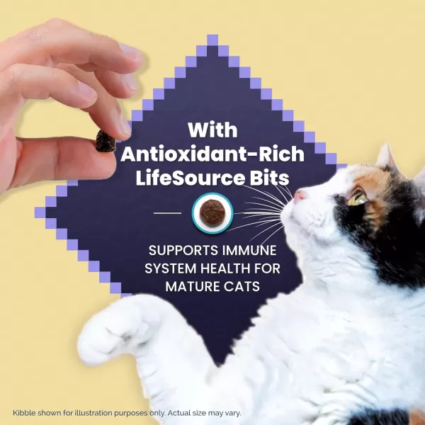 imageBlue Buffalo Cat Food for Mature Cats Natural Chicken Recipe Senior Dry Cat Food 5 lb bagDry Cat Food 5 Pound Pack of 1