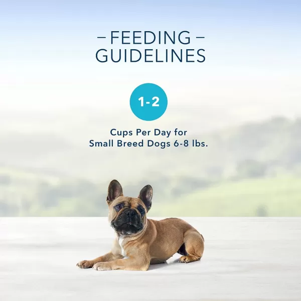 imageBlue Buffalo Delights Natural Adult Small Breed Wet Dog Food Cups Pate Style Filet Mignon and Porterhouse 35oz 12 Pack 6 of Each FlavorTop Sirloin 35 Ounce Pack of 12