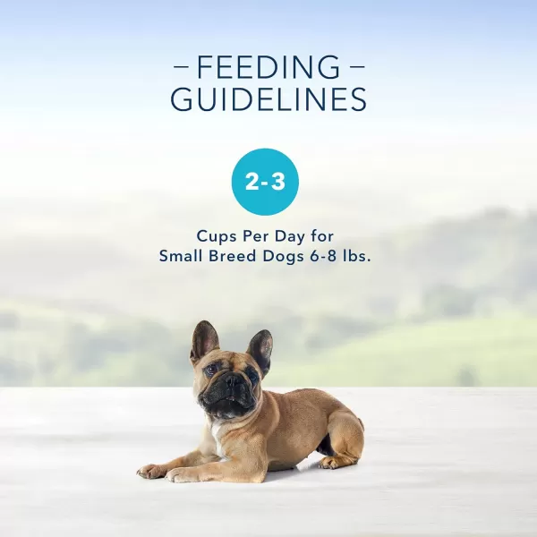 imageBlue Buffalo Delights Natural Adult Small Breed Wet Dog Food Cups in Gravy Filet Mignon Prime Rib amp Chicken 35oz 36 Count  12 of Each FlavorVariety Pack Filet Mignon Prime Rib amp Roasted Chicken Bundle 35 oz Pack of 36
