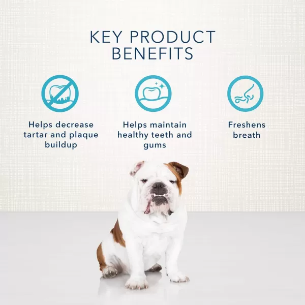 imageBlue Buffalo Dental Bones Small Natural Dental Chew Dog Treats 1525 lbs 36oz BagLarge Bones 12 Ounce Pack of 1