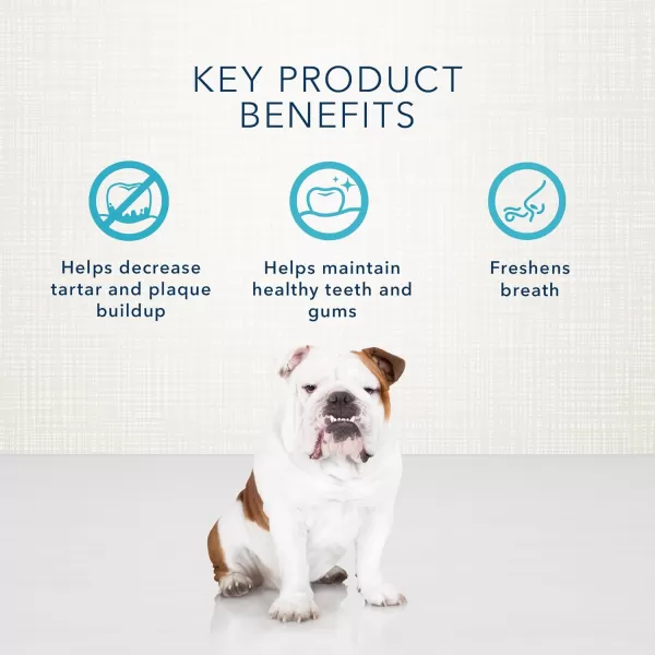 imageBlue Buffalo Dental Bones Small Natural Dental Chew Dog Treats 1525 lbs 36oz BagMini Bones 36 Ounce Pack of 1