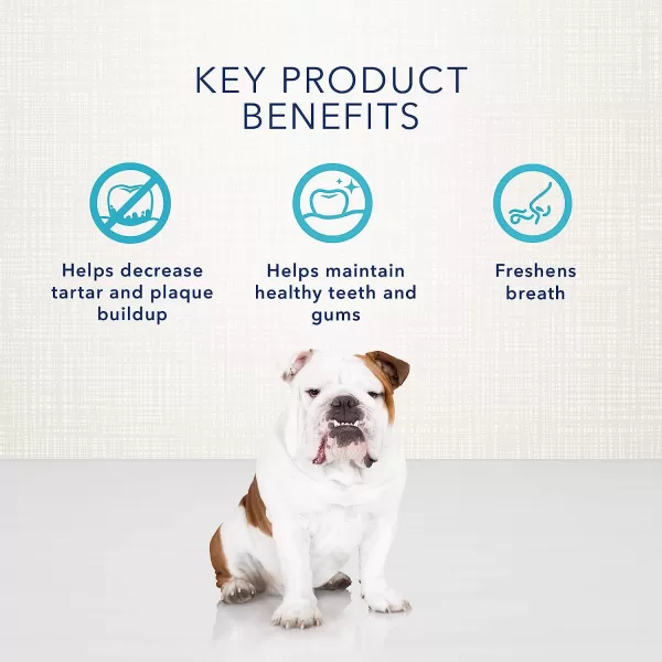 imageBlue Buffalo Dental Bones Small Natural Dental Chew Dog Treats 1525 lbs 36oz BagRegular Bones 12 Ounce Pack of 1