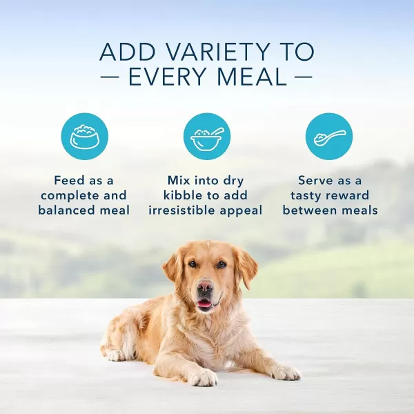 imageBlue Buffalo Family Favorites Natural Adult Wet Dog Food Shepherds Pie 125oz can Pack of 12Turkey Day Feast 125 Ounce Pack of 12
