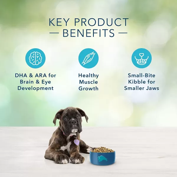 imageBlue Buffalo Freedom Grain Free Natural Puppy Dry Dog Food Chicken 4lb4 Pound Pack of 1