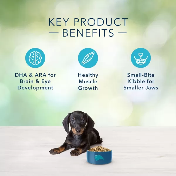imageBlue Buffalo Freedom Grain Free Natural Puppy Small Breed Dry Dog Food Chicken 11lbChicken 4 Pound Pack of 1