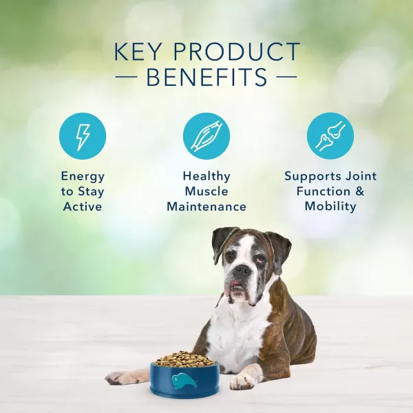 imageBlue Buffalo Freedom Grain Free Natural Senior Dry Dog Food Chicken 4lbDry Dog Food 11 Pound Pack of 1