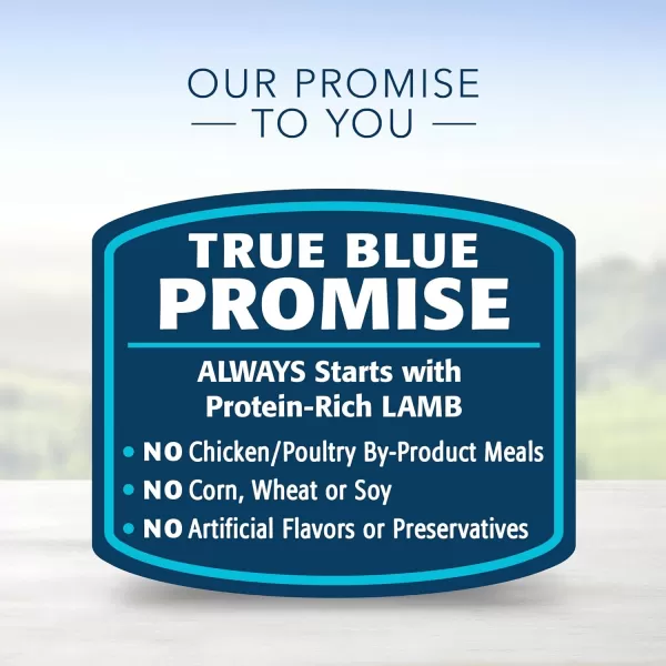 imageBlue Buffalo Homestyle Recipe Natural Adult Small Breed Wet Dog Food Chicken 55oz can Pack of 24Lamb