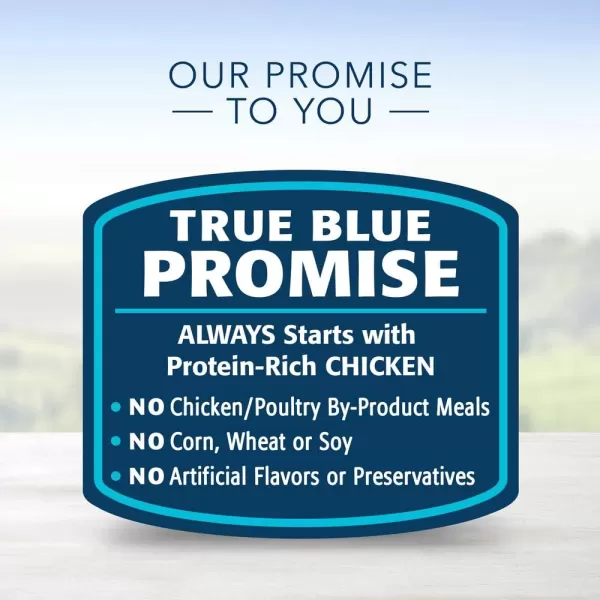 imageBlue Buffalo Homestyle Recipe Natural Adult Wet Dog Food Chicken 125oz can Pack of 12Wet Dog Food Chicken 125 Ounce Pack of 12