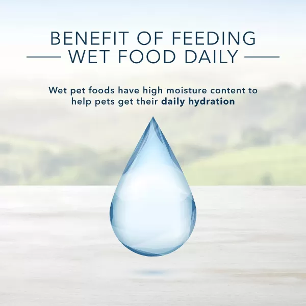 imageBlue Buffalo Homestyle Recipe Natural Adult Wet Dog Food Lamb 125oz can Pack of 12Blue Buffalo Homestyle Recipe Natural Adult Wet Dog Food Lamb 125oz can Pack of 12