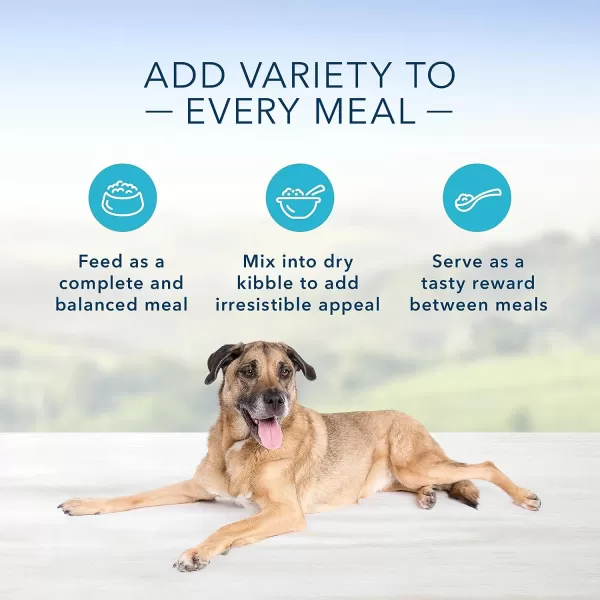 imageBlue Buffalo Homestyle Recipe Natural Senior Wet Dog Food Chicken 125oz can Pack of 12Blue Buffalo Homestyle Recipe Natural Senior Wet Dog Food Chicken 125oz can Pack of 12