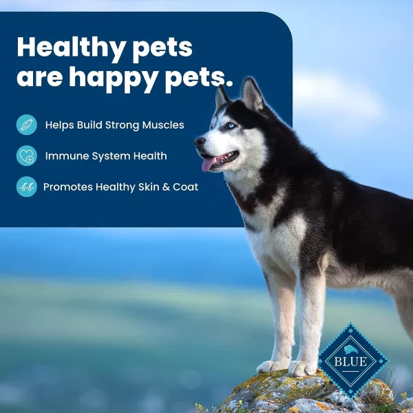 imageBlue Buffalo Life Protection Formula Natural Adult Dry Dog Food Lamb and Brown Rice 30lbBeef amp Brown Rice 30 Pound Pack of 1
