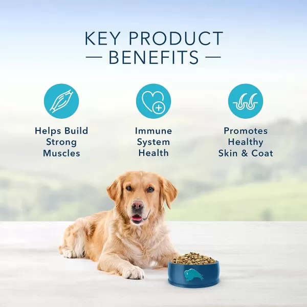 imageBlue Buffalo Life Protection Formula Natural Adult Dry Dog Food Lamb and Brown Rice 30lbBeef amp Brown Rice 5 Pound Pack of 1