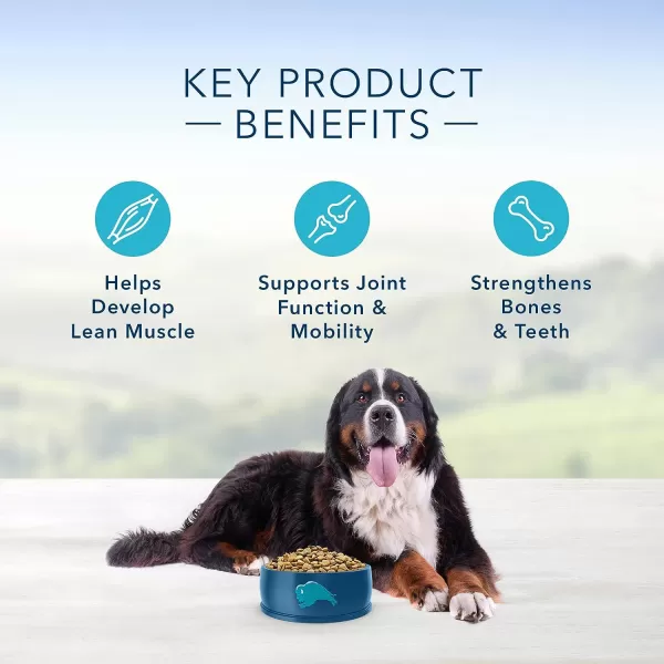 imageBlue Buffalo Life Protection Formula Natural Adult Large Breed Dry Dog Food Lamb and Brown Rice 34lbLamb amp Brown Rice 30 Pound Pack of 1